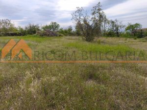 Парцел във в.з.Доброгледски лозя, с.Доброглед.  Парцел с площ 1600кв.м. - 1 - Ricom Bulgaria