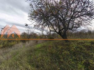 Парцел за жилищно строителство с влязъл в сила ПУП-ПРЗ в кв.Изгрев. - 1 - Ricom Bulgaria