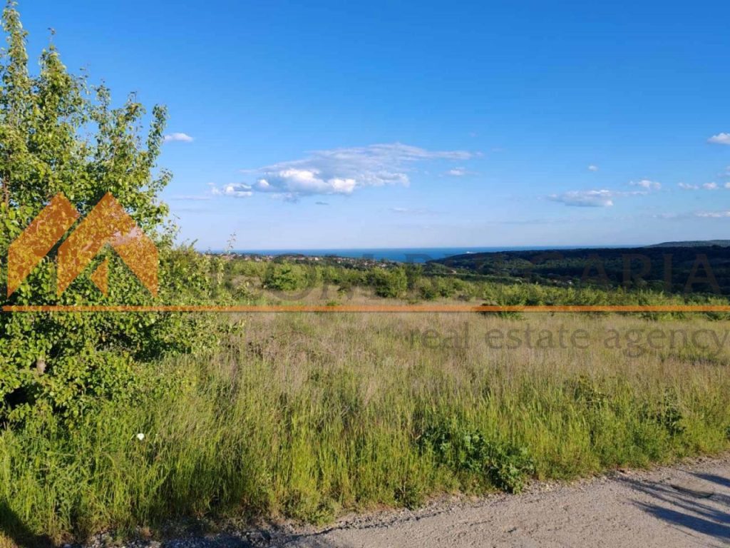 РИКОМ БЪЛГАРИЯ  ви предлага парцел с площ 10042 кв.м. в м-ст Орта борун, в непосредствена близост до местн. Боровец юг! - 1 - Ricom Bulgaria