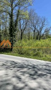 Парцел  на главен асфалтов път в местност Орехчето - 2 - Ricom Bulgaria